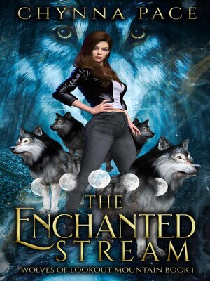 cover image of The Enchanted Stream